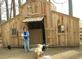 Woof! &gt; Chicken and Goat Houses - mario-bross.com